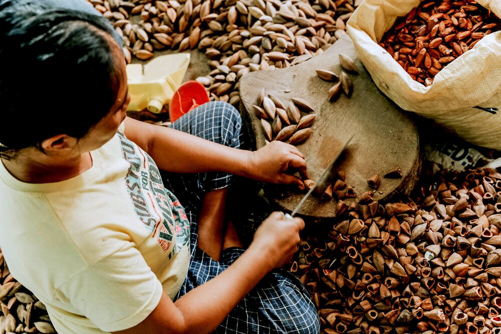 handplockade nötter